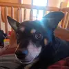 kariconntrary - @kariconntrary - TikTok
