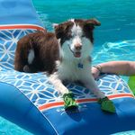 Kari & Conrad’s Adventures - @kariconradsadventures - Instagram