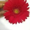karishmacoonjoa - @kcoonj - TikTok