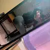 Bug - @kariecovington - TikTok