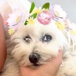 Karine - @karinedewitt - Instagram
