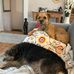 Karin Dobson - Facebook