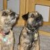 Karin Dobson - Facebook