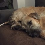 Kari Doherty - @texasdingdongs - Instagram