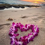Kari Dowdell Hadley - @karidowdell - Instagram
