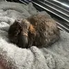 🌸 Kari D 🌸 - @kari.duncan1234 - TikTok