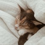 Kari Dunn - @littlekawit - Instagram