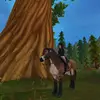 🤍 - @karin..almondeagle - TikTok