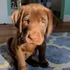 KARIN YELLOWEAGLE - @sso.karinyelloweagle - TikTok