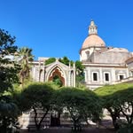 Kari Earlywine - @kariearlywine - Instagram
