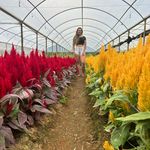 Karine Heckert - @karineheckert - Instagram