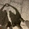 Ega y Kayi - @kariyedgarr - TikTok