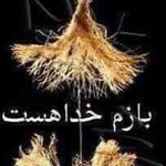 Karim Elamian - @elamian_karim - Instagram