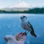 Kari Emm - Facebook