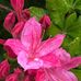 Kari Engen - Facebook