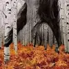 Kari.Engen - @jamirgdx9e3 - TikTok
