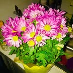 Thabiso Kari Keegatile - @thabi_kari_fairy - Instagram