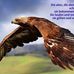 Karin Fellinger - Facebook