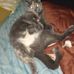 Kari Finley - Facebook