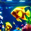 kari_fish - @kari_fish3 - TikTok