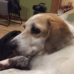Kari Frank - @kandofrank - Instagram