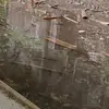 karifriendly - @karifriendly - TikTok