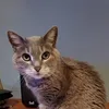 Karine Gervais - @karinegervais0 - TikTok