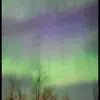 Kari Gilbert - @karigilbert4 - TikTok