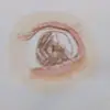 KariGross - @karigrossmgfvcq - TikTok