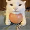 kari - @kari_guy - TikTok