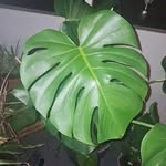 Kari Hamby - @karimefaraway - Instagram