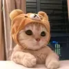 karishampton70 - @karishampton70 - TikTok