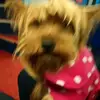 Karin Hardwick - @karin.hardwick - TikTok