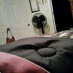 Kari Harper - @kariharper12gmail - Instagram