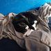 Kira Havens - Facebook