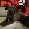 kariheadleysparkm - @kariheadleysparkm - TikTok