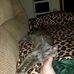 Kari Hemb - Facebook