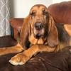 kariherrington995 - @kariherrington995 - TikTok