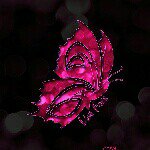 Kari Hodson - @diamondgirl196421 - Instagram