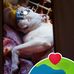Kari Hull - Facebook