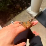 Kari Jacobs - @kmj_2292 - Instagram
