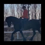 Kari-Ann Johnsen - @kariann.johnsen - Instagram