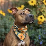 @karijoyce6372 - Instagram