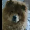 KariJoyceKfy - @karijoycekfy - TikTok