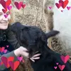 Kari Justus - @karijustus8 - TikTok