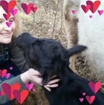 Kari Justus - Facebook