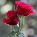 Karim Kahn - Facebook