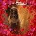 Kari Keene - Facebook