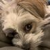 Kari Keene Ehrler - Facebook