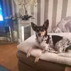 Karin Krause - @karin.krause - TikTok